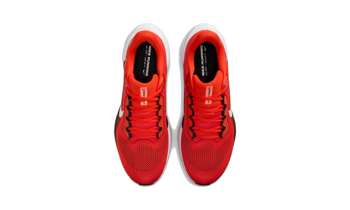 Overkicks - Nike Air Zoom Pegasus 41 Cleveland Browns (2025) (IB3202-800) - vista superior