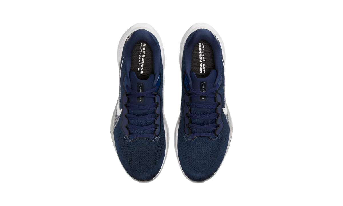 Overkicks - Nike Air Zoom Pegasus 41 Dallas Cowboys (2025) (IB3193-400) - vista superior