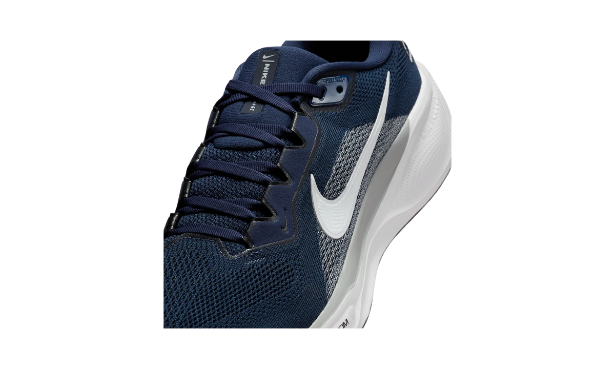 Overkicks - Nike Air Zoom Pegasus 41 Dallas Cowboys (2025) (IB3193-400) - detalle lateral interior