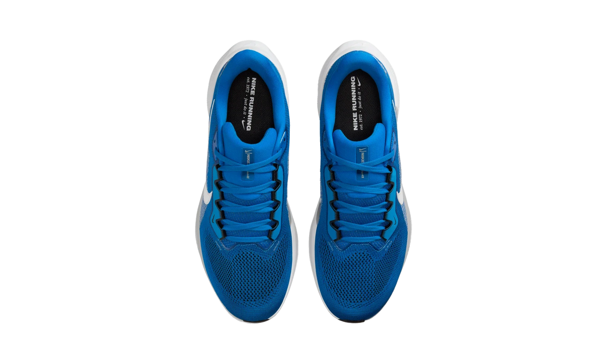 Overkicks - Nike Air Zoom Pegasus 41 Detroit Lions (2025) (IB3206-400) - vista superior