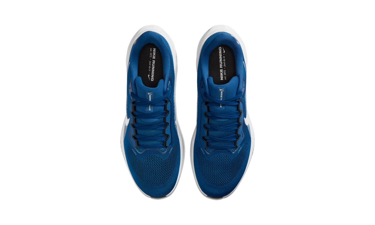 Overkicks - Nike Air Zoom Pegasus 41 Indianapolis Colts (2025) (IB3214-400) - vista superior