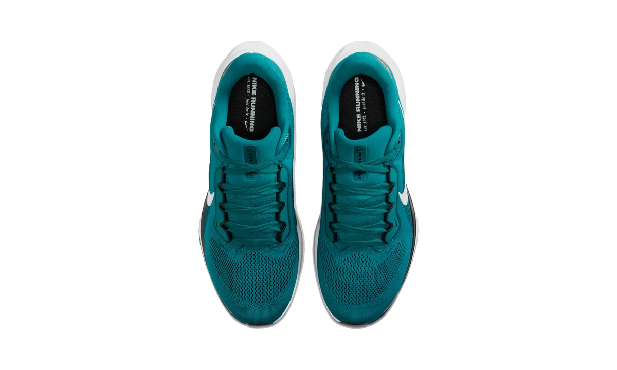 Overkicks - Nike Air Zoom Pegasus 41 Jacksonville Jaguars (2025) (IB3196-400) - vista superior