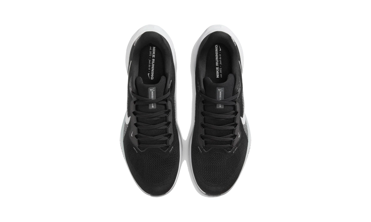 Overkicks - Nike Air Zoom Pegasus 41 Las Vegas Raiders (2025) (IB3201-001) - vista superior