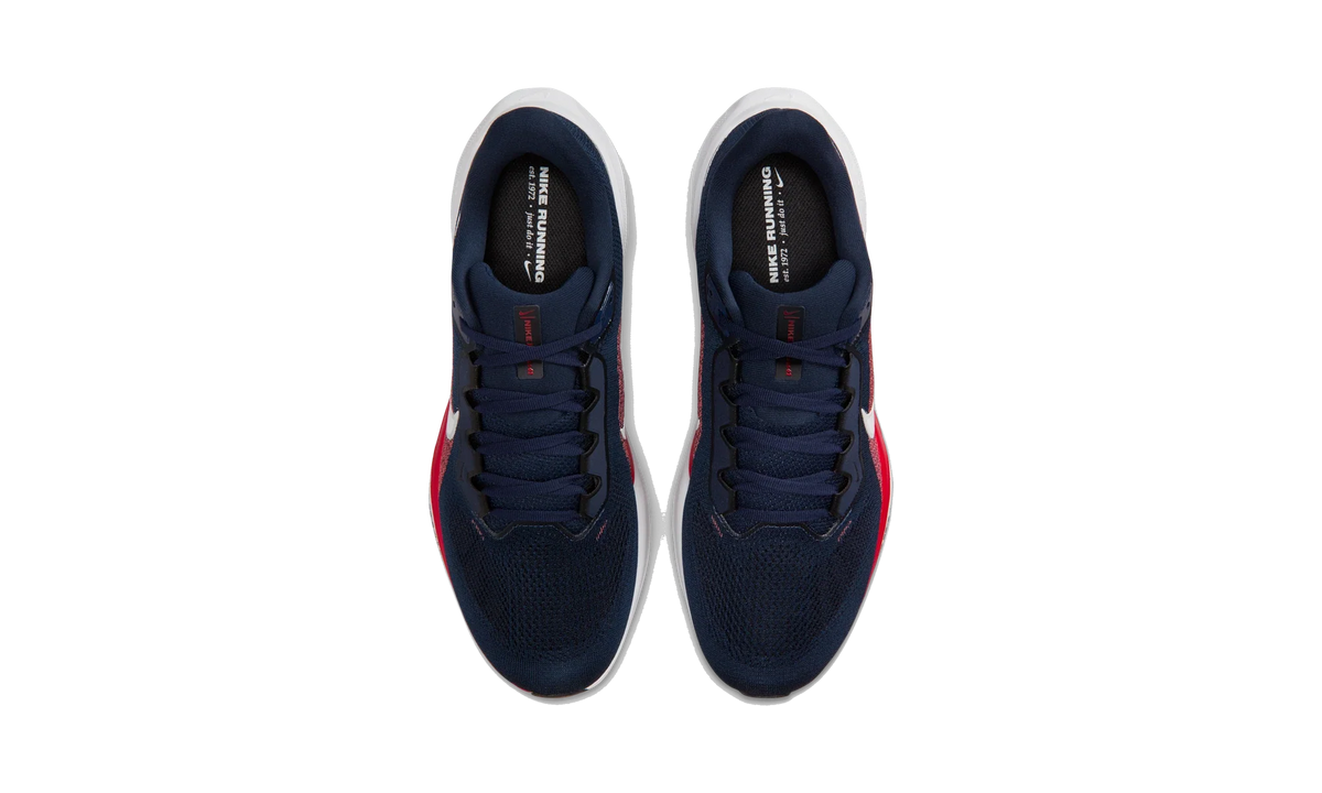 Overkicks - Nike Air Zoom Pegasus 41 New England Patriots (2025) (IB3205-400) - vista superior
