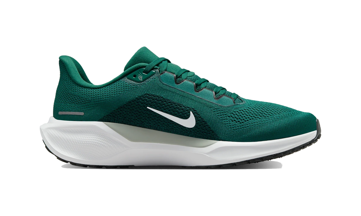 Overkicks - Nike Air Zoom Pegasus 41 Philadelphia Eagles (2025) (IB3215-300) - detalle suela