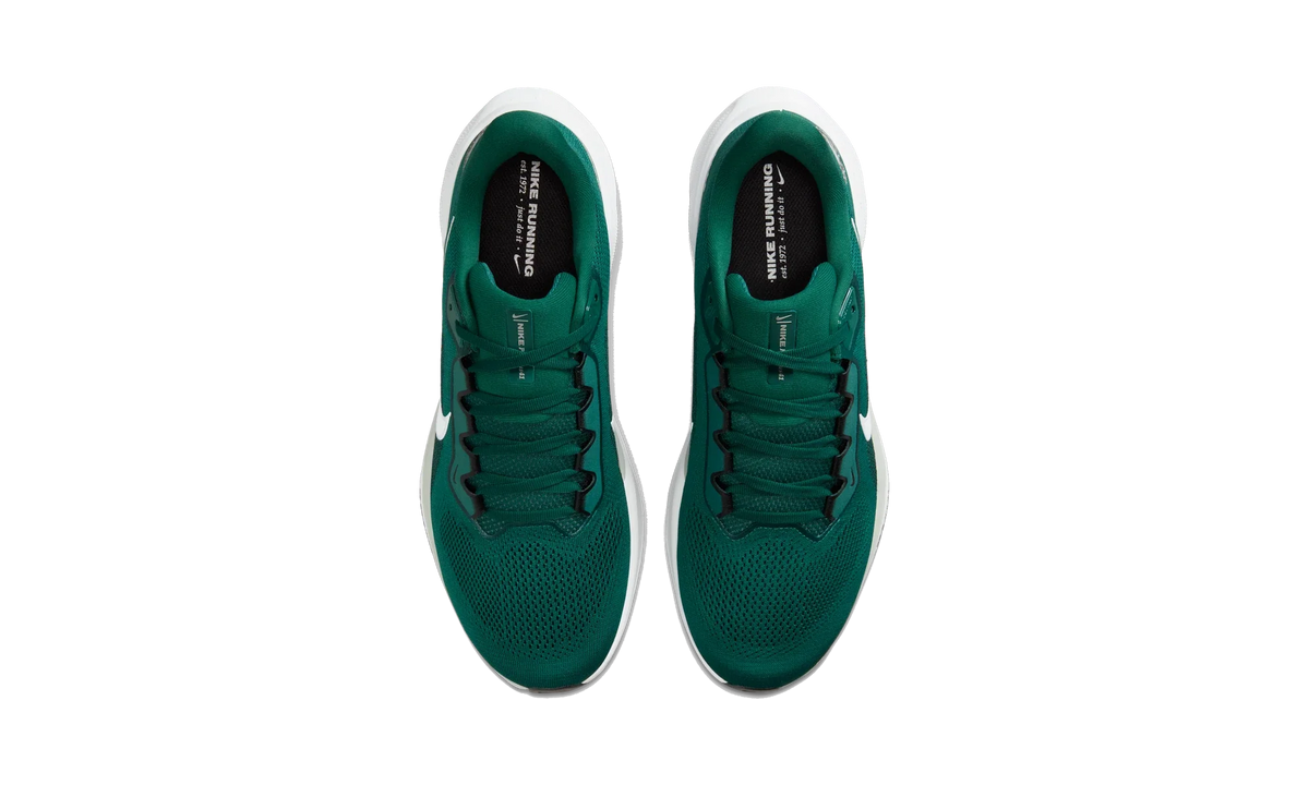 Overkicks - Nike Air Zoom Pegasus 41 Philadelphia Eagles (2025) (IB3215-300) - vista superior