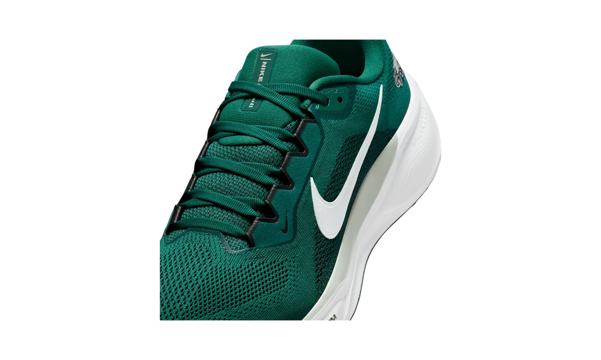 Overkicks - Nike Air Zoom Pegasus 41 Philadelphia Eagles (2025) (IB3215-300) - detalle lateral interior