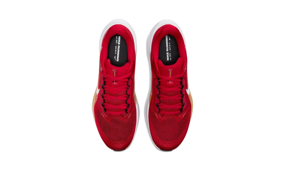 Overkicks - Nike Air Zoom Pegasus 41 San Francisco 49ers (2025) (IB3186-600) - vista superior
