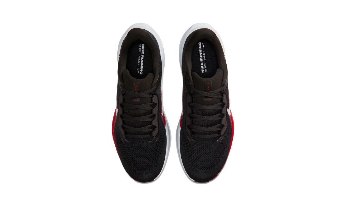 Overkicks - Nike Air Zoom Pegasus 41 Tampa Bay Buccaneers (2025) (IB3198-200) - vista superior