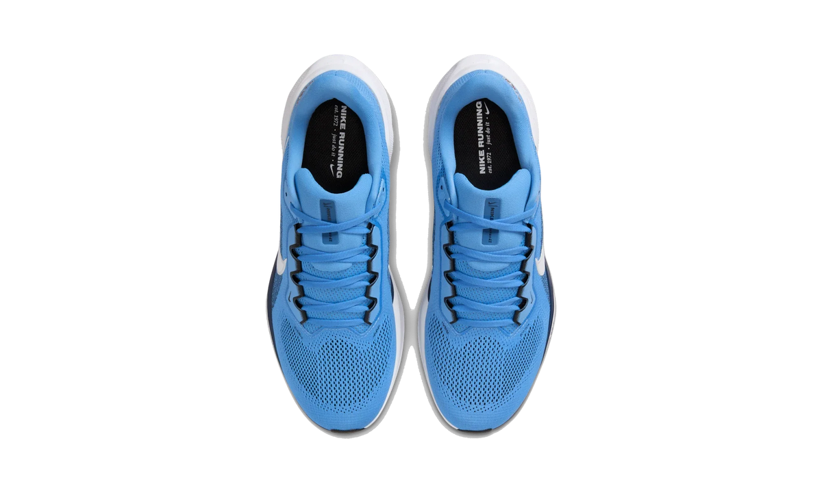 Overkicks - Nike Air Zoom Pegasus 41 Tennessee Titans (2025) (IB3204-400) - vista superior