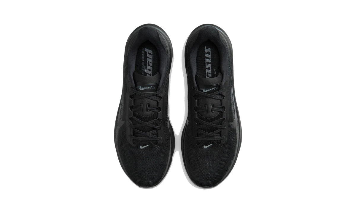 Overkicks - Nike Air Zoom Pegasus 42 Black Anthracite (IB1873-003) - vista superior