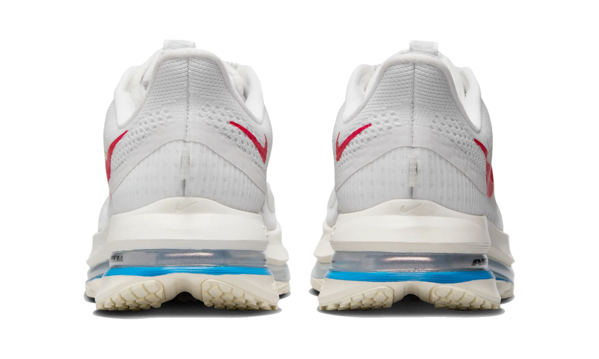 Overkicks - Nike Air Zoom Pegasus Premium Forrest Gump (Womens) (IH7347-111) - detalle talon