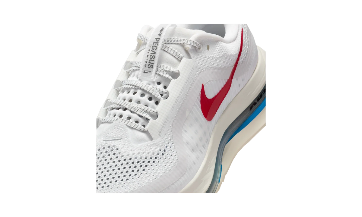 Overkicks - Nike Air Zoom Pegasus Premium Forrest Gump (Womens) (IH7347-111) - detalle lateral interior