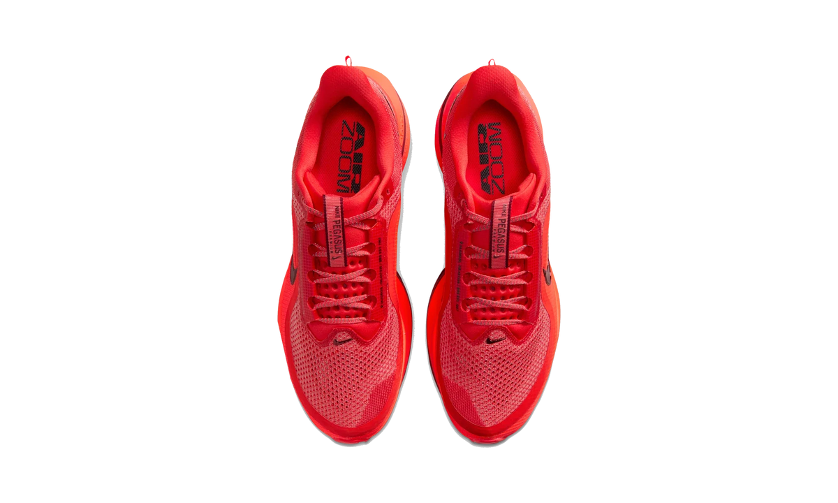 Overkicks - Nike Air Zoom Pegasus Premium Light Crimson (HQ2592-601) - vista superior
