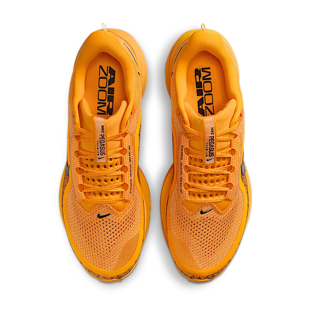 Overkicks - Nike Air Zoom Pegasus Premium Modern Mayfly (IH3256-700) - par completo
