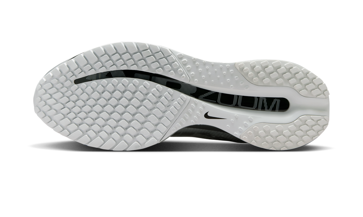 Overkicks - Nike Air Zoom Pegasus Premium Photon Dust Black Metallic Silver (IR1229-001) - par completo