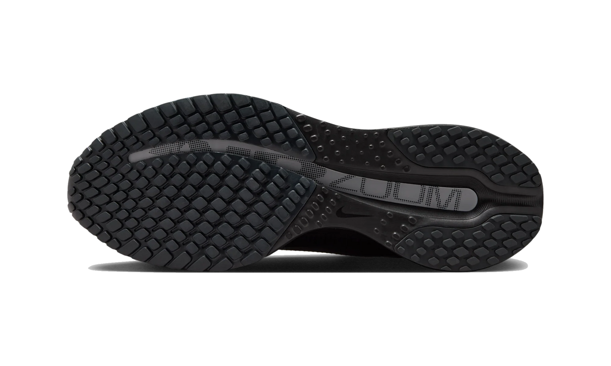 Overkicks - Nike Air Zoom Pegasus Premium SP Black Metallic Silver (IH4369-001) - par completo