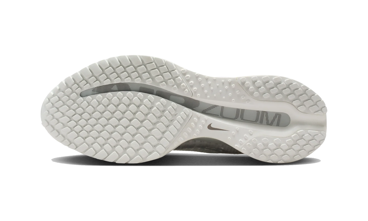 Overkicks - Nike Air Zoom Pegasus Premium Summit White Iridescent (Womens) (IO9918-100) - par completo