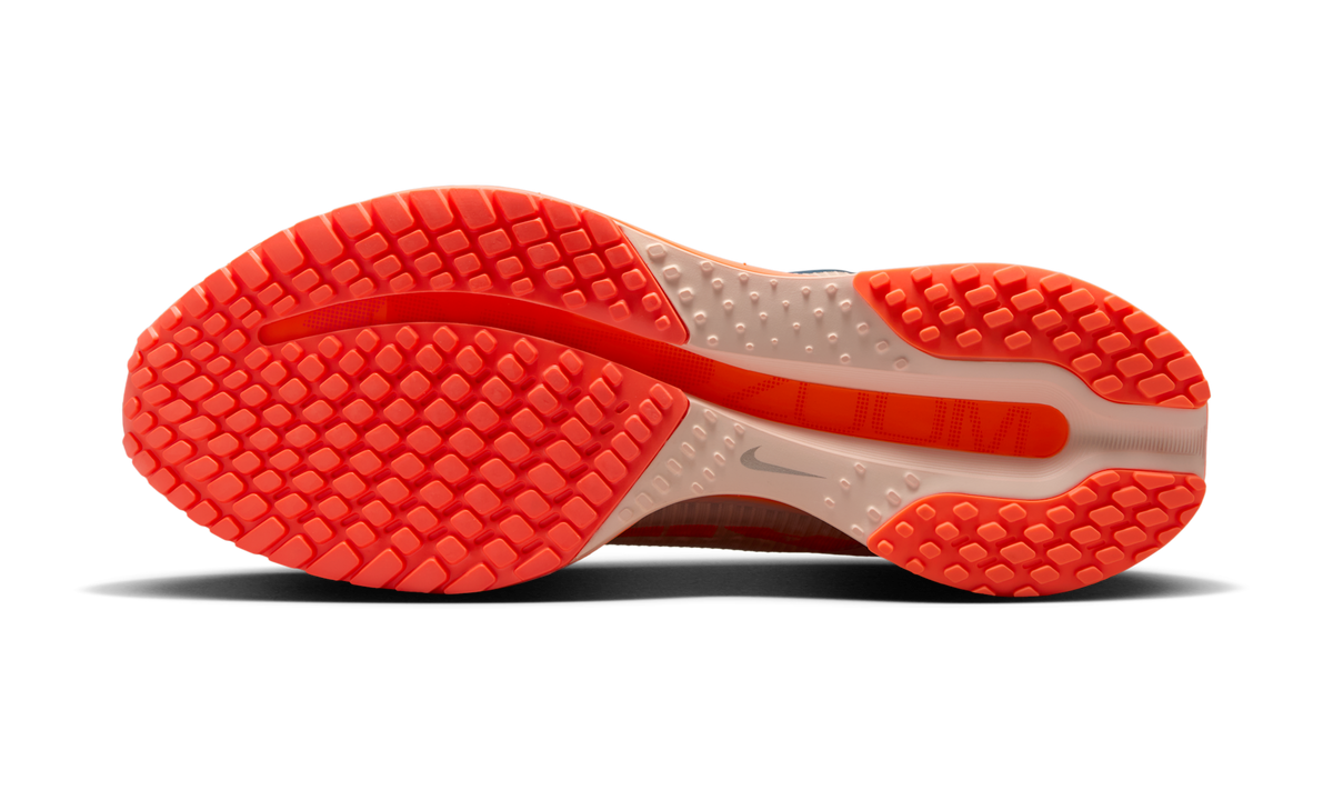Overkicks - Nike Air Zoom Pegasus Premium Washed Coral (II6308-600) - par completo