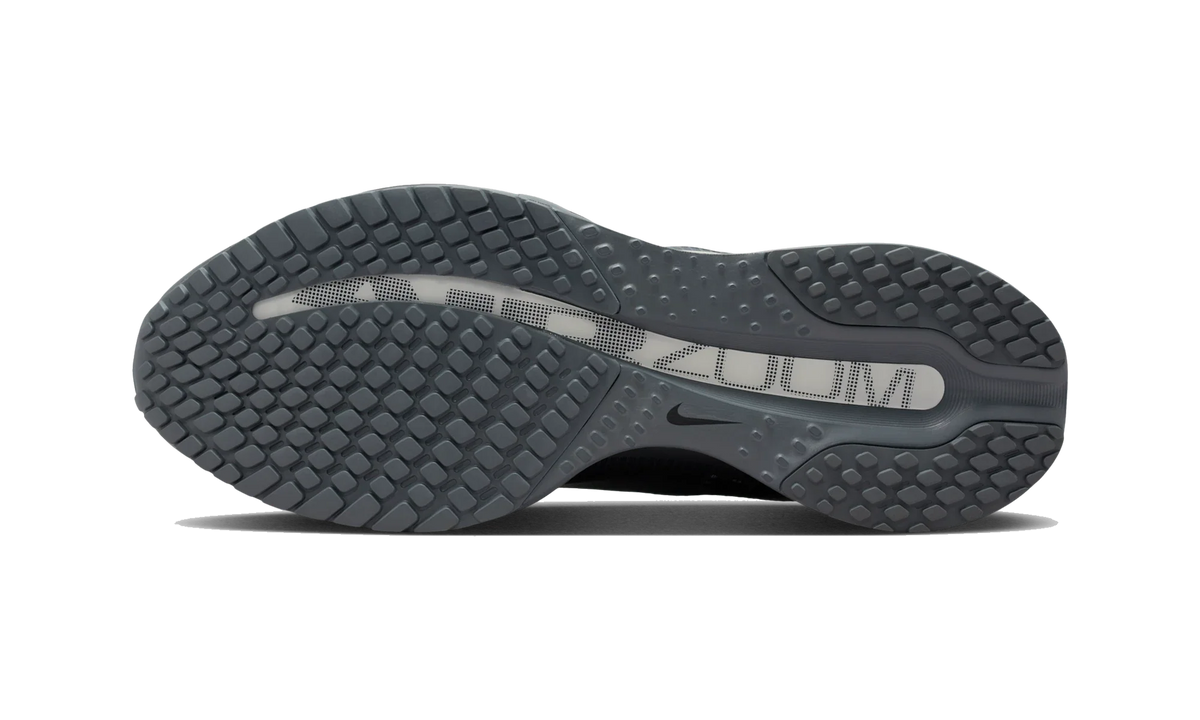 Overkicks - Nike Air Zoom Pegasus Premium Wolf Grey (HQ2592-013) - par completo