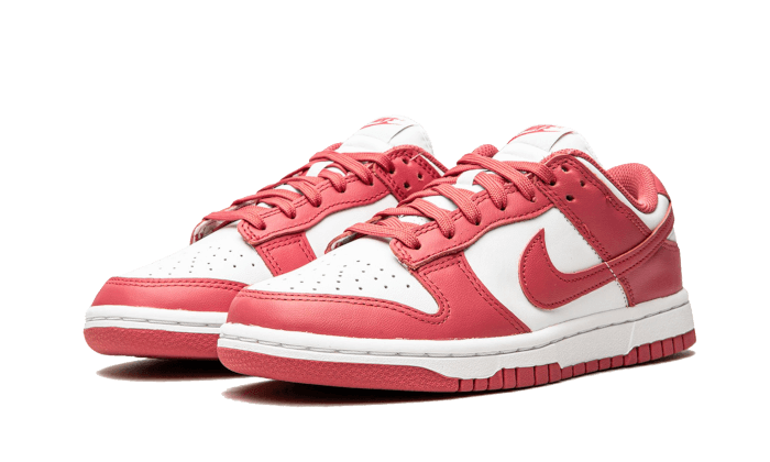 Overkicks - Nike Dunk Low Archeo Pink (DD1503-111) - vista trasera