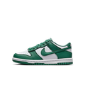 Nike Dunk Low Bicoastal (GS)