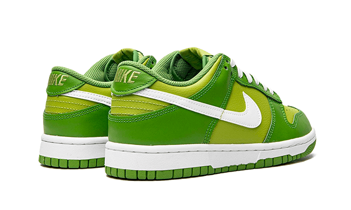 Overkicks - Nike Dunk Low Chlorophyll (DJ6188-300 / DH9765-301) - par completo