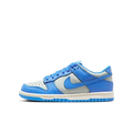 Nike Dunk Low Light Silver Sail Light Photo Blue (GS)