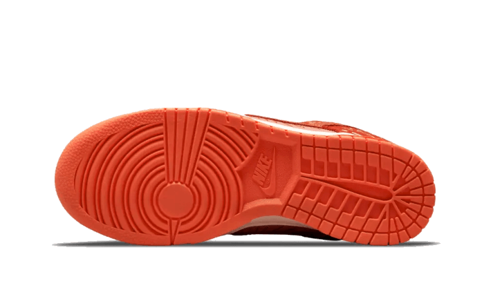 Overkicks - Nike Dunk Low NH Winter Solstice (DO6723-800) - par completo