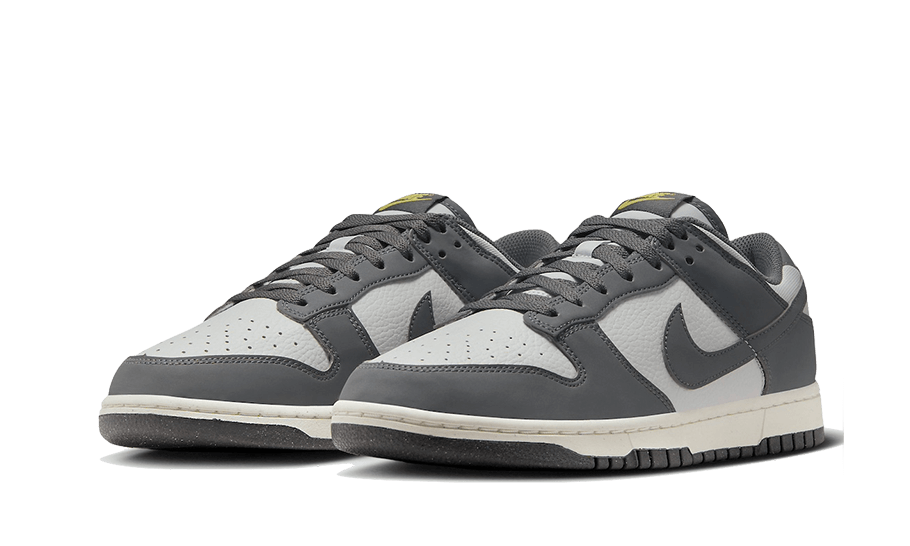 Overkicks - Nike Dunk Low Next Nature Iron Grey Lightning (FZ4621-001) - vista trasera