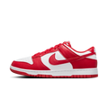 Nike Dunk Low Next Nature St. John's