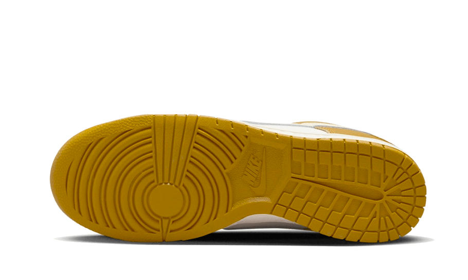 Overkicks - Nike Dunk Low Retro Bronzine (FZ4042-716) - par completo