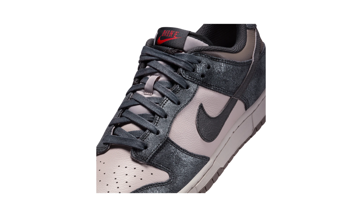 Overkicks - Nike Dunk Low Retro NYC CBGB (IB2258-001) - detalle lateral interior