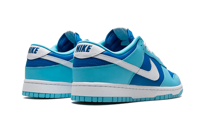 Overkicks - Nike Dunk Low Retro QS Argon (2022) (DM0121-400) - par completo