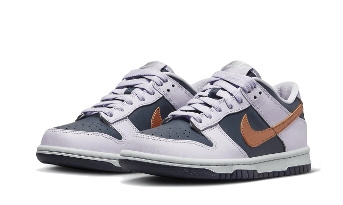 Overkicks - Nike Dunk Low SE Copper Swoosh (GS) (DX1663-400) - imagen 3