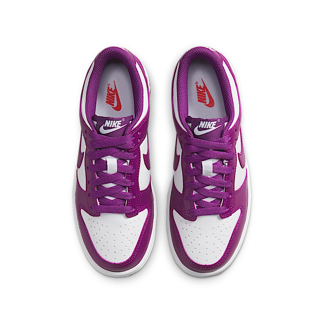 Overkicks - Nike Dunk Low Viotech (FB9109-110) - par completo