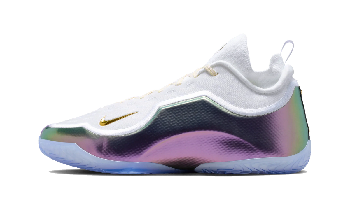 Overkicks - Nike LeBron 23 Elite For The Record (IB9557-100) - vista lateral