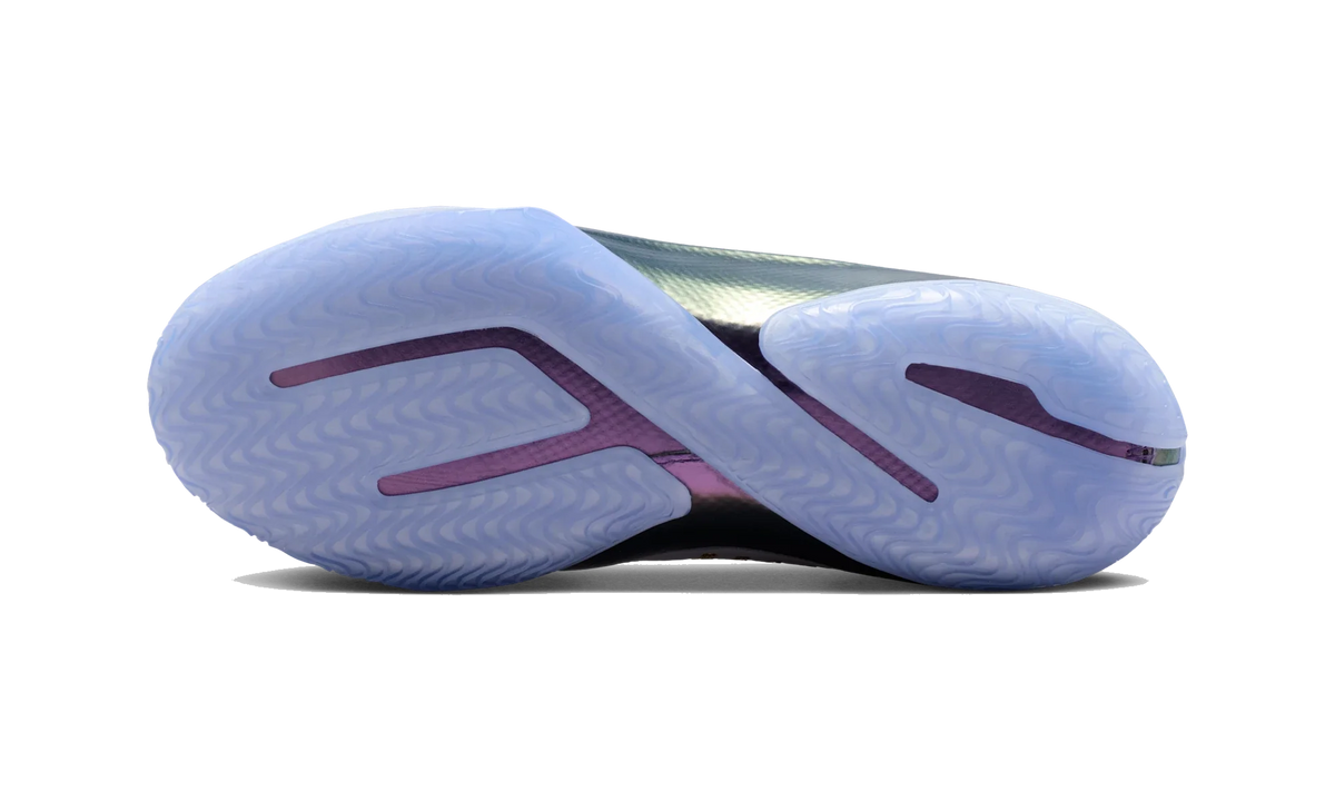 Overkicks - Nike LeBron 23 Elite For The Record (IB9557-100) - par completo