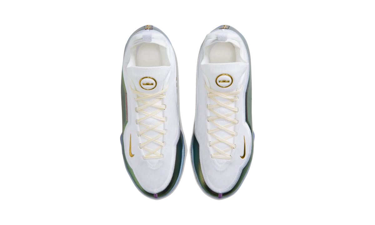 Overkicks - Nike LeBron 23 Elite For The Record (IB9557-100) - vista superior