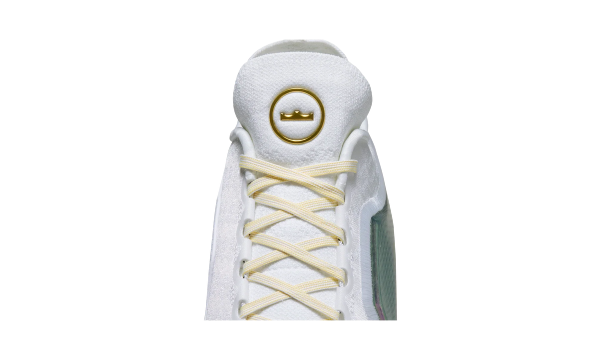 Overkicks - Nike LeBron 23 Elite For The Record (IB9557-100) - detalle
