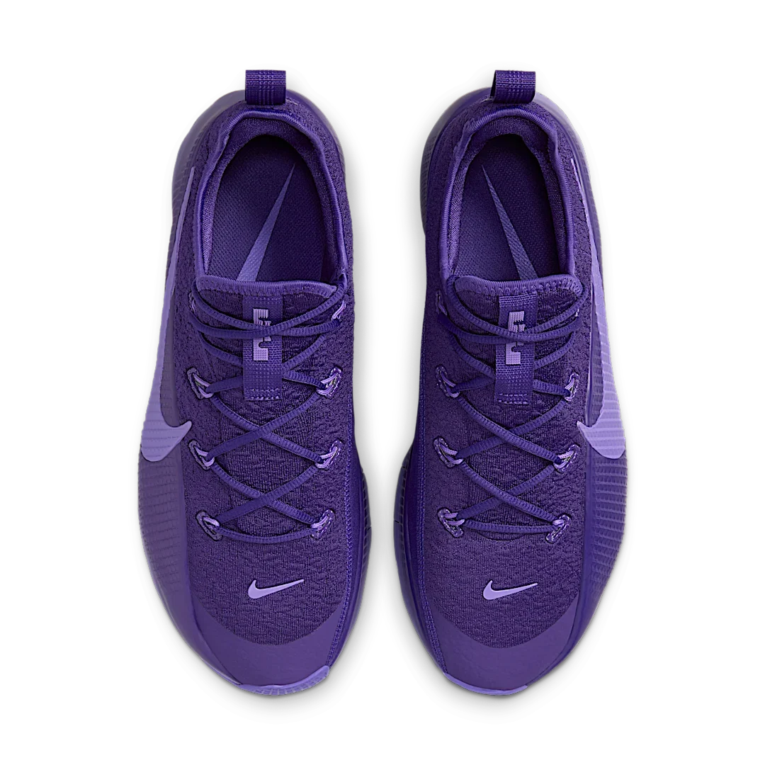 Overkicks - Nike LeBron TR 1 Purple Rain (FJ6151-500) - par completo