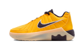Nike LeBron Witness 9 Amarillo Soft Yellow Cave Purple (GS)