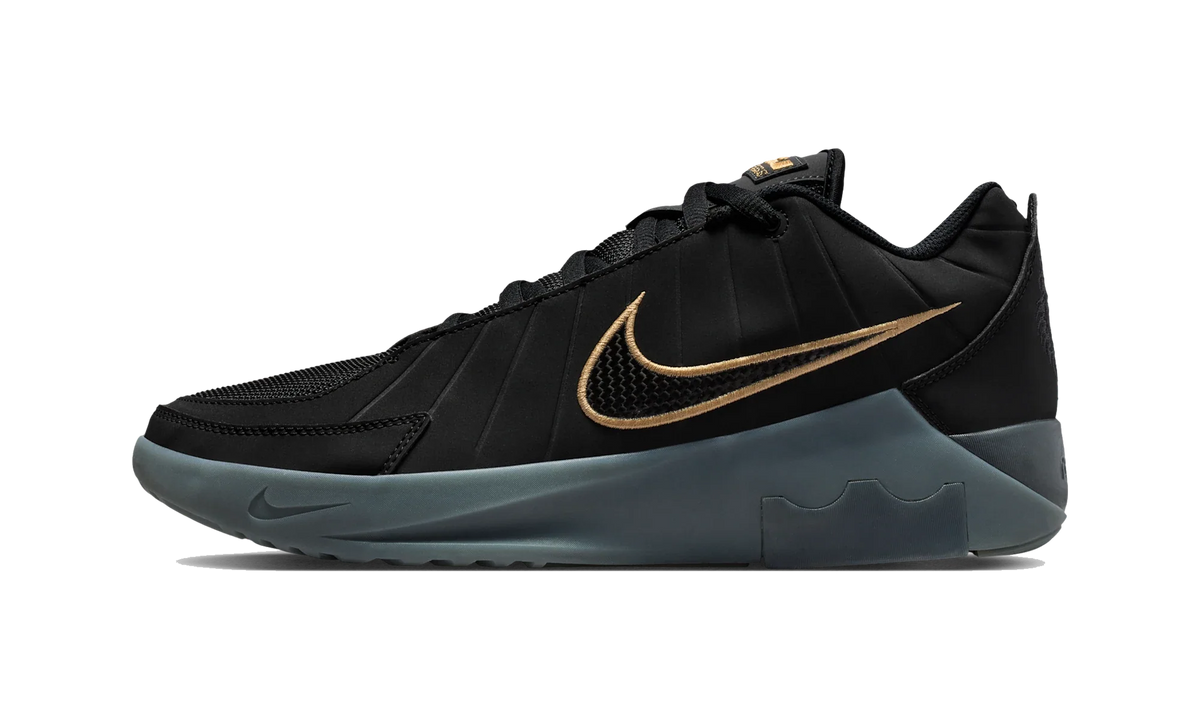Overkicks - Nike LeBron Witness 9 Black Dark Smoke Grey (Translucent Outsole) (HQ8034-003) - vista lateral