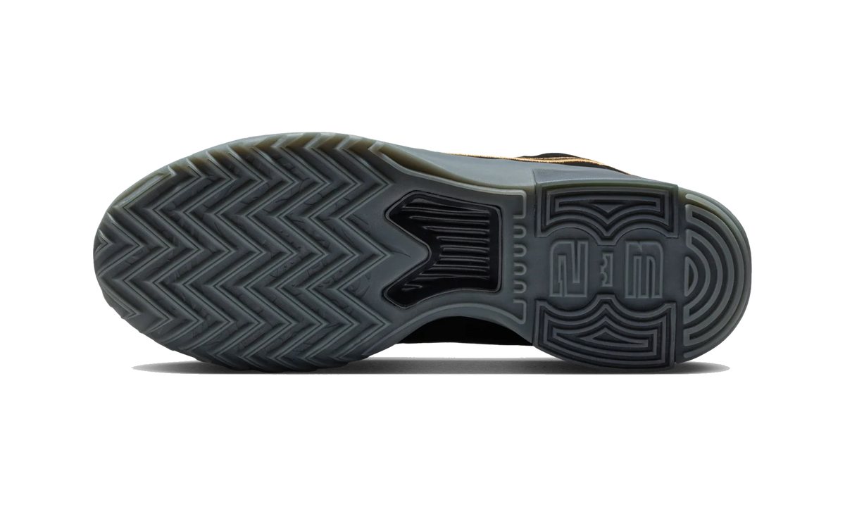 Overkicks - Nike LeBron Witness 9 Black Dark Smoke Grey (Translucent Outsole) (HQ8034-003) - par completo