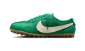 Nike Moon Shoe Malachite Soft Pearl (Women's)