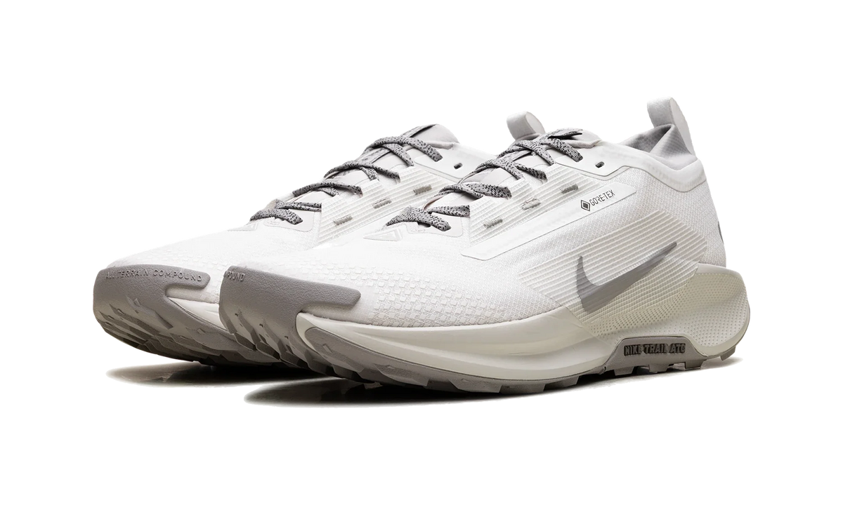 Overkicks - Nike React Pegasus Trail 5 Gore-Tex SP Summit White College Grey Bone (HQ7494-100) - vista trasera