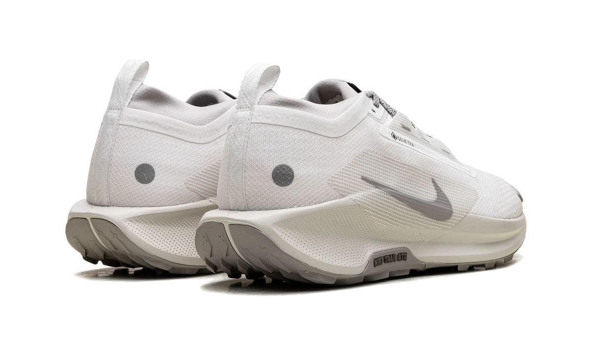Overkicks - Nike React Pegasus Trail 5 Gore-Tex SP Summit White College Grey Bone (HQ7494-100) - par completo