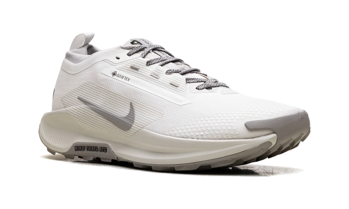 Overkicks - Nike React Pegasus Trail 5 Gore-Tex SP Summit White College Grey Bone (HQ7494-100) - detalle lateral interior