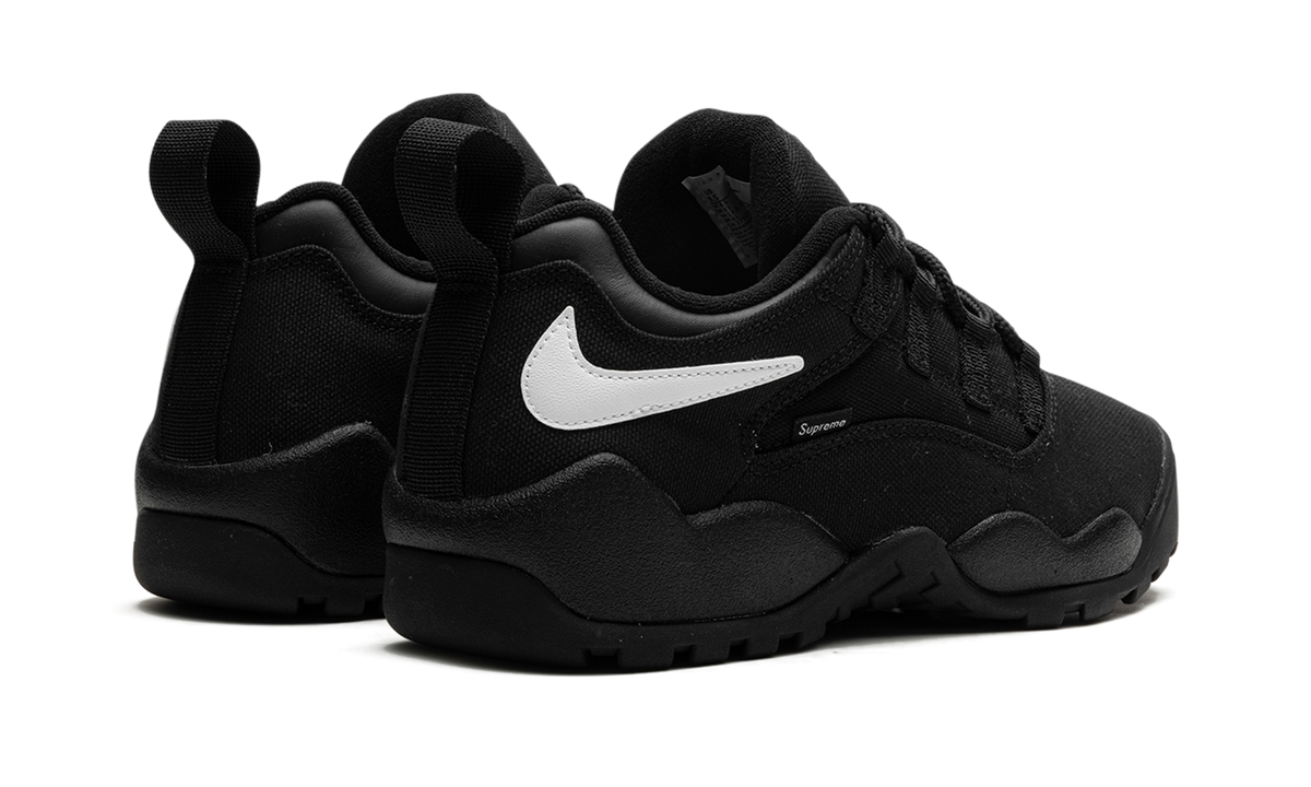 Overkicks - Nike SB Darwin Low Supreme Black (FQ3000-001) - par completo