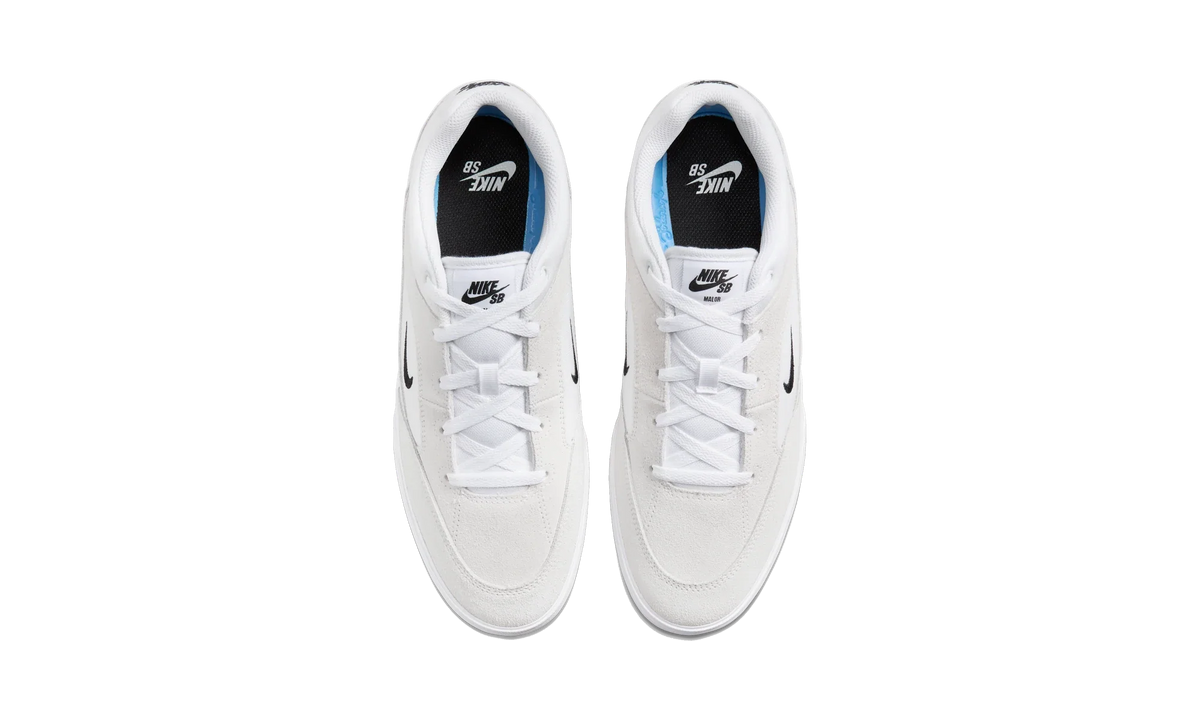 Overkicks - Nike SB Malor White Summit White (FV6064-101) - vista superior